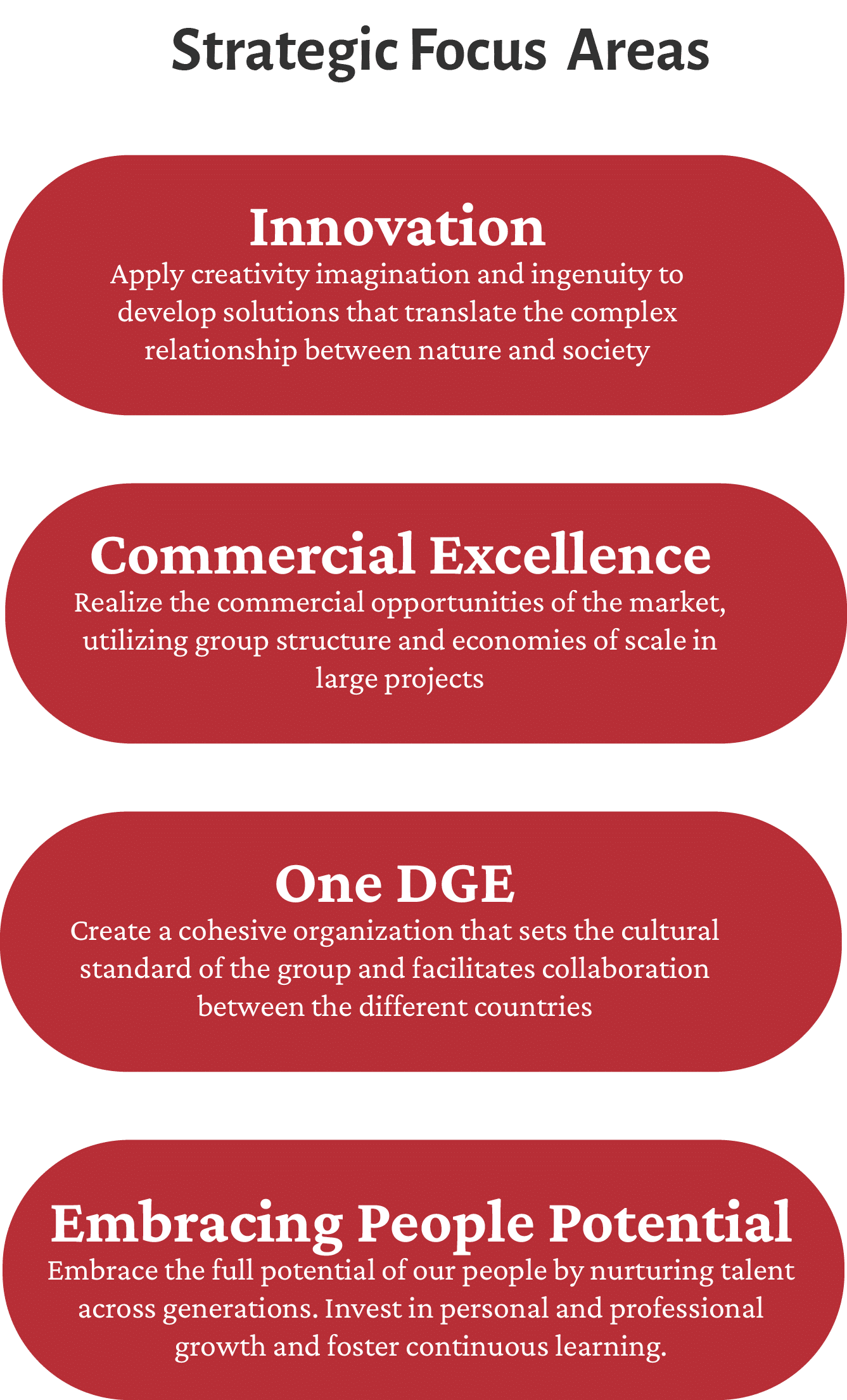 stratetig focus areas.png